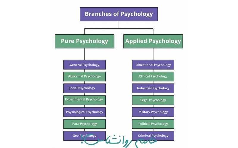 Types of psychology