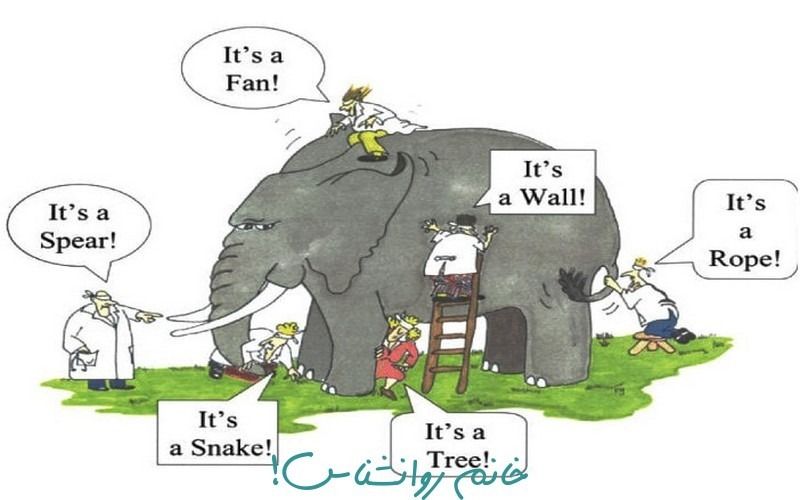 The perceived world in choice theory