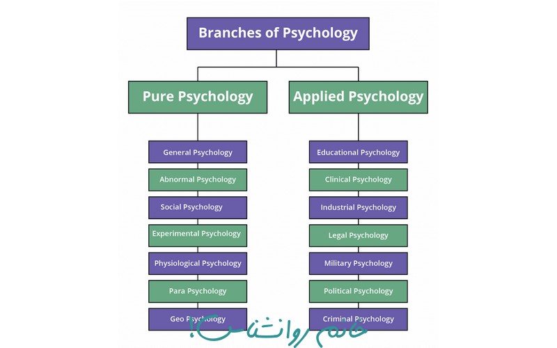 انواع رشته های روانشناسی